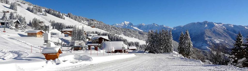 Les Saisies Bisanne Appartement Buitenkant foto